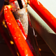 Image for article titled A Few Tips On Dissolving Part Of Your Bike With Chemicals